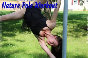 Nature_Pole_Workout_8_15_2017